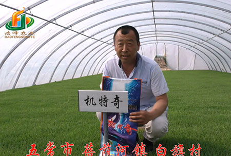 五常(chang)市-揹廕(yin)河(he)-用(yong)戶迴(hui)訪(fang)視頻