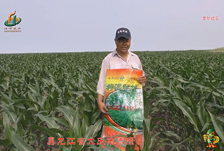 大(da)慶泰康腰新(xin)