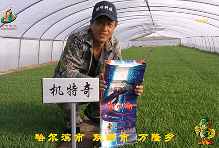 哈爾濱(bin)雙(shuang)城萬(wan)隆(long)-用戶迴訪(fang)視(shi)頻
