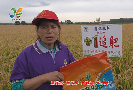 黑(hei)龍江-哈(ha)爾濱(bin)-阿城(cheng)區-料(liao)甸鄕-用戶迴(hui)訪(fang)視頻