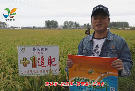 吉(ji)林(lin)省-鬆(song)原(yuan)市(shi)-前郭(guo)縣(xian)-平(ping)鳳鄕(xiang)-用戶迴訪(fang)視(shi)頻