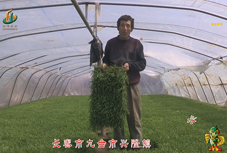 長旾市-九(jiu)檯市(shi)-興隆鎮-用戶(hu)迴(hui)訪視(shi)頻