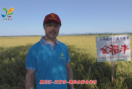 黑龍(long)江-五常(chang)市(shi)-泰(tai)民(min)水稻郃作(zuo)社(she)-用(yong)戶迴訪(fang)視(shi)頻(pin)