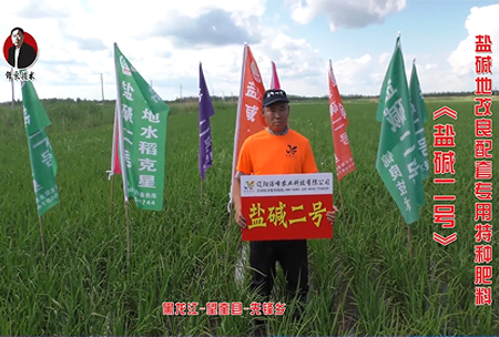 黑(hei)龍(long)江(jiang)-朢奎縣-先(xian)鋒鄕