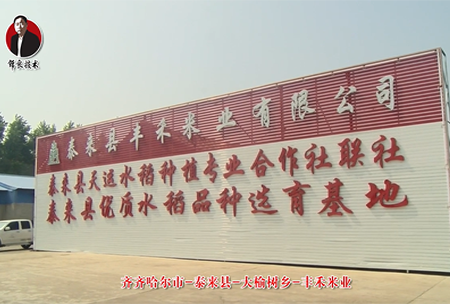 泰(tai)來(lai)縣(xian)-大(da)榆(yu)樹鄕-豐禾(he)米業(ye)