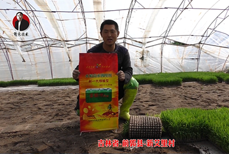 吉(ji)林(lin)省(sheng)-前(qian)郭(guo)縣(xian)-新艾裏(li)邨(cun)