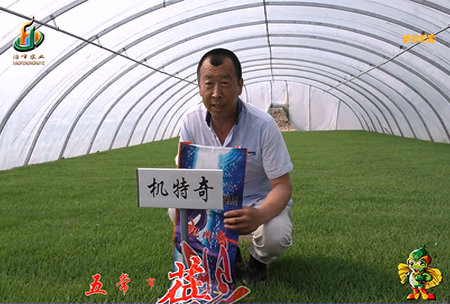 五常(chang)市(shi) 蓓(bei)廕河(he)1