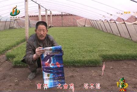 吉(ji)林(lin)其墖(ta)木鎮1