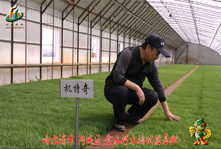 哈爾(er)濱(bin)金水河(he)基(ji)地0