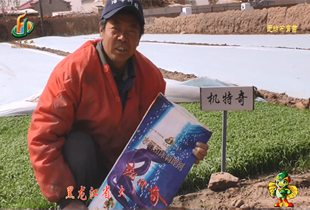 大(da)慶(qing) 太康鎮1